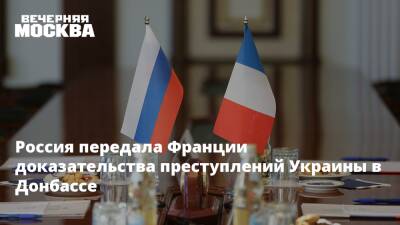Владимир Путин - Дарья Морозова - Россия передала Франции доказательства преступлений Украины в Донбассе - vm.ru - Россия - Украина - Франция - ДНР - Париж