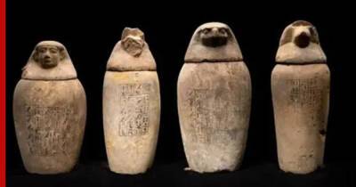 Секреты мумификации: археологи сообщили о неожиданной находке в Египте - profile.ru - Египет - Чехия - Каир