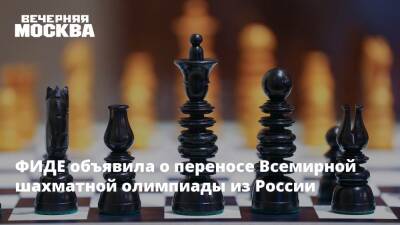 ФИДЕ объявила о переносе Всемирной шахматной олимпиады из России - vm.ru - Россия - Украина - Сочи