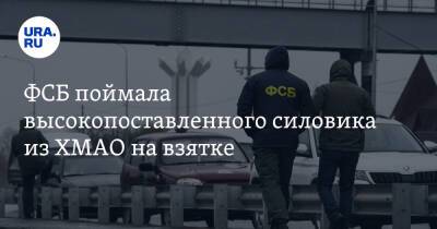 ФСБ поймала высокопоставленного силовика из ХМАО на взятке - ura.news - Россия - Тюменская обл. - Югра