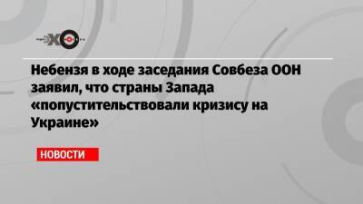 Небензя в ходе заседания Совбеза ООН заявил, что страны Запада «попустительствовали кризису на Украине» - echo - Россия - Украина - Киев