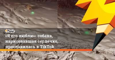 «Я его люблю»: собака, нарисовавшая сердечко, прославилась в TikTok - ridus.ru