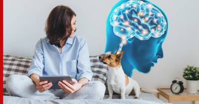 Влияние домашних животных на здоровье мозга человека выявили ученые - profile.ru - США