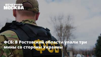 Владимир Путин - ФСБ: В Ростовской области упали три мины со стороны Украины - vm.ru - Россия - Украина - ДНР - Ростовская обл. - ЛНР - Донецкая обл.