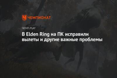 В Elden Ring на ПК исправили вылеты и другие важные проблемы - championat.com