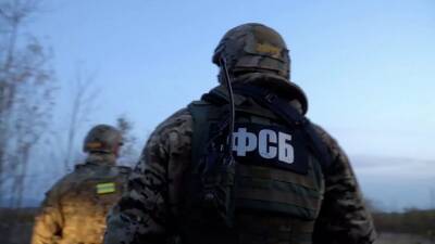 Украинские солдаты обстреляли российских пограничников в Белгородской области: один военнослужащий ранен - Русская семерка - russian7.ru - Россия - Украина - Белгородская обл. - Воронежская обл.