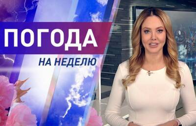 Много солнца – мало осадков! Весна пришла? Погода на неделю с 28 февраля по 6 марта. Подробный прогноз - ont.by - Белоруссия