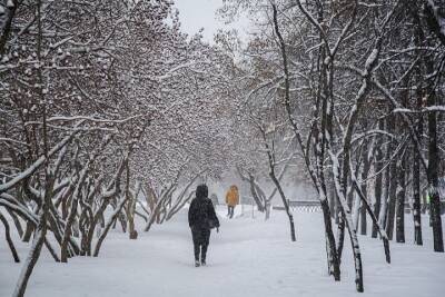 Порывистый ветер, небольшой снег и -3 градуса – погода в Красноярске 27 февраля - kras.mk.ru - Красноярск