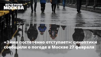 «Зима постепенно отступает»: синоптики сообщили о погоде в Москве 27 февраля - vm.ru - Москва - Московская обл. - Москва