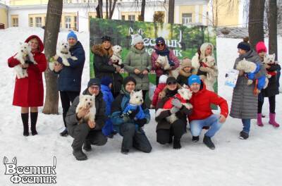 В Рязани прошла встреча владельцев собак породы вест хайленд уайт терьер и их питомцев «Вестик-Фестик» - 7info.ru - Рязань