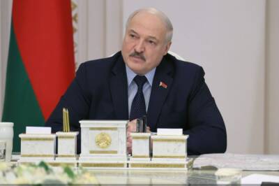 Владимир Зеленский - Александр Лукашенко - Лукашенко: фиксировались случаи завоза оружия из Украины в Белоруссию - aif.ru - Москва - Украина - Киев - Белоруссия