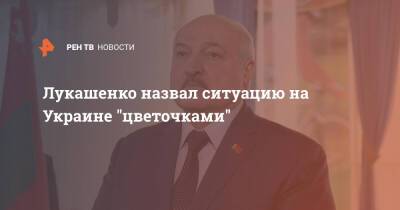 Владимир Зеленский - Александр Лукашенко - Лукашенко назвал ситуацию на Украине "цветочками" - ren.tv - Украина - Белоруссия - Донбасс
