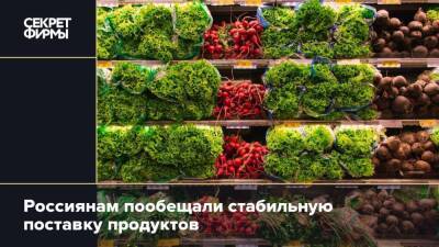 Россиянам пообещали стабильную поставку продуктов - secretmag.ru - Россия