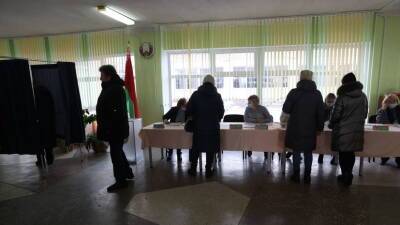 Игорь Карпенко - В ЦИК Белоруссии заявили о росте явки на референдум до 74,86% - russian.rt.com - Белоруссия