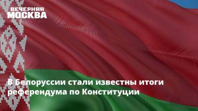 Александр Лукашенко - Игорь Карпенко - В Белоруссии стали известны итоги референдума по Конституции - vm.ru - Белоруссия - Конституция