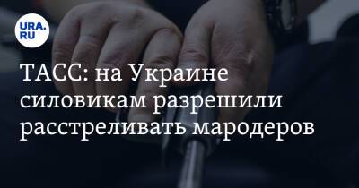 Владимир Зеленский - Владимир Путин - Виталий Кличко - Дмитрий Песков - Сергей Сухомлин - ТАСС: на Украине силовикам разрешили расстреливать мародеров - ura.news - Москва - Россия - Украина - Киев - Житомир