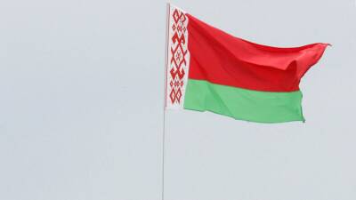 Владимир Зеленский - Александр Лукашенко - Референдум в Беларуси: власти заявили, что большинство населения поддержало поправки в Конституцию - ru.slovoidilo.ua - Россия - Украина - Белоруссия
