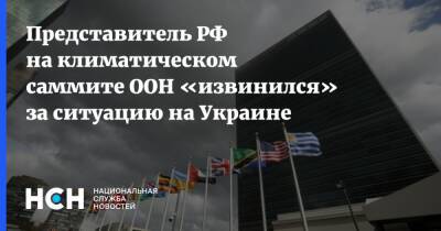 Представитель РФ на климатическом саммите ООН «извинился» за ситуацию на Украине - nsn.fm - Россия - Украина