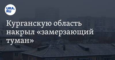 Курганскую область накрыл «замерзающий туман» - ura.news - Курганская обл.