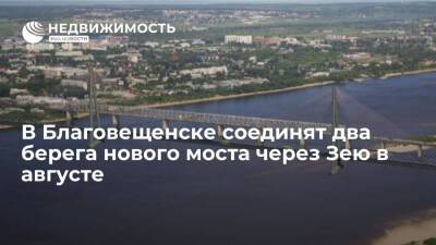 Владимир Путин - Василий Орлов - Эдуард Давыдов - Власти: соединить два берега нового моста через Зею в Благовещенске планируют в августе 2022 года - realty.ria.ru - Россия - Амурская обл. - Благовещенск - Строительство