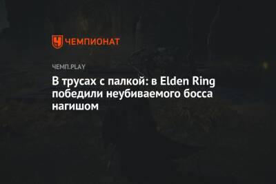 В трусах с палкой: в Elden Ring победили неубиваемого босса нагишом - championat.com