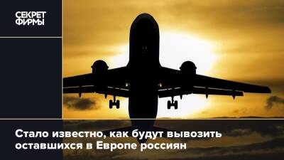 Дмитрий Горин - Стало известно, как будут вывозить оставшихся в Европе россиян - secretmag.ru - Россия