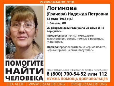 Элизабет Алерт - В Сланцах без вести пропала 53-летняя женщина - ivbg.ru - Украина - Ленобласть