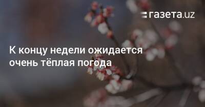 К концу недели ожидается очень тёплая погода - gazeta.uz - Узбекистан