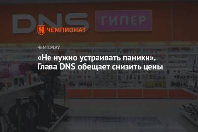 Дмитрий Алексеев - «Не нужно устраивать паники». Глава DNS обещает снизить цены - championat.com