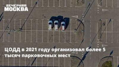 ЦОДД в 2021 году организовал более 5 тысяч парковочных мест - vm.ru - Москва - Москва