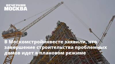 Анастасия Пятова - В Москомстройинвесте заявили, что завершение строительства проблемных домов идет в плановом режиме - vm.ru - Москва - Москва - Строительство