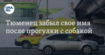 Тюменец забыл свое имя после прогулки с собакой - ura.news - Тюмень - Тюменская обл.