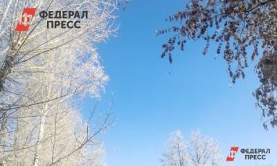 Елен Майоров - Озвучен прогноз погоды во Владивостоке на 3 февраля - fedpress.ru - Приморье край - Владивосток - Дфо