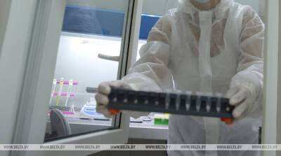 Число заразившихся коронавирусом в мире превысило 380 млн - belta.by - США - Англия - Белоруссия - Франция - Бразилия - Индия - Минск