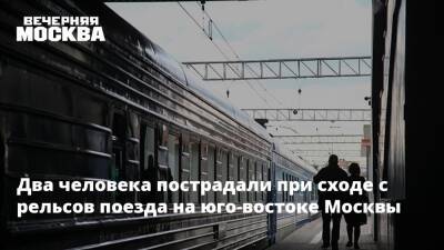 Два человека пострадали при сходе с рельсов поезда на юго-востоке Москвы - vm.ru - Москва - территория Рижское Направление - Москва