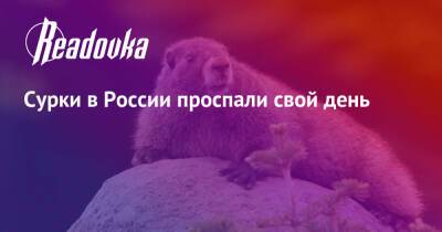 Сурки в России проспали свой день - readovka.news - Россия - США - шт.Нью-Джерси
