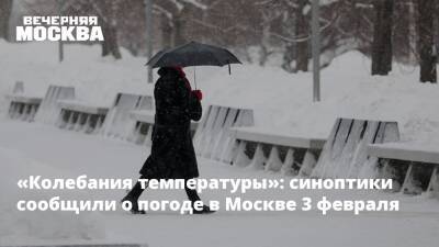 «Колебания температуры»: синоптики сообщили о погоде в Москве 3 февраля - vm.ru - Москва - Россия - Московская обл. - Москва