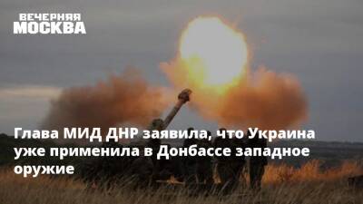 Наталья Никонорова - Глава МИД ДНР заявила, что Украина уже применила в Донбассе западное оружие - vm.ru - Москва - Россия - Украина - Киев - Германия - Франция - ДНР - Донецк - Минск - ЛНР - Донбасс