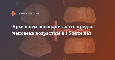 Археологи опознали кость предка человека возрастом в 1,5 млн лет - ren.tv - Израиль - Стамбул