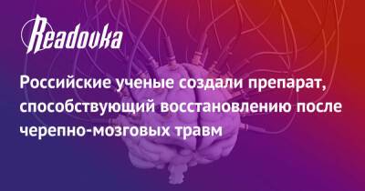 Российские ученые создали препарат, способствующий восстановлению после черепно-мозговых травм - readovka.ru - Белгород