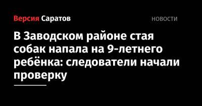 В Заводском районе стая собак напала на 9-летнего ребёнка: следователи начали проверку - nversia.ru - Саратов