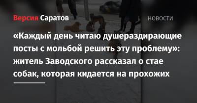 «Каждый день читаю душераздирающие посты с мольбой решить эту проблему»: житель Заводского рассказал о стае собак, которая кидается на прохожих - nversia.ru - район Заводский