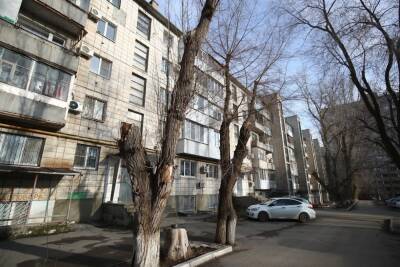 В Астрахани спиленные ветки дробят сразу во дворах - volg.mk.ru - Россия - Волгоград - Астрахань - Астраханская обл. - Волгоградская обл.