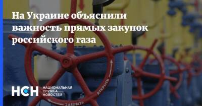 Дмитрий Марунич - На Украине объяснили важность прямых закупок российского газа - nsn.fm - Россия - Украина