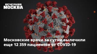 Сергей Собянин - Московские врачи за сутки вылечили еще 12 359 пациентов от COVID-19 - vm.ru - Москва - Россия - Москва