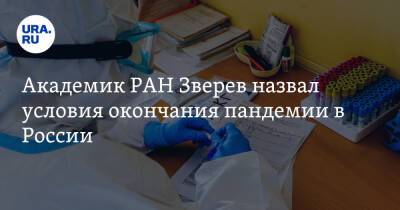 Виталий Зверев - Академик РАН Зверев назвал условия окончания пандемии в России - ura.news - Россия