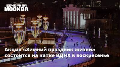 Акция «Зимний праздник жизни» состоится на катке ВДНХ в воскресенье - vm.ru - Москва - Россия - Москва