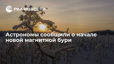 В лаборатории РАН объяснили новую магнитную бурю на Земле длительной вспышкой на Солнце - ria.ru - Москва - Россия