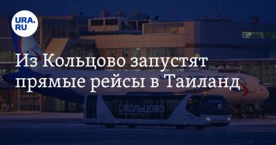 Из Кольцово запустят прямые рейсы в Таиланд - ura.news - Екатеринбург - Алма-Ата - Иркутск - Таиланд
