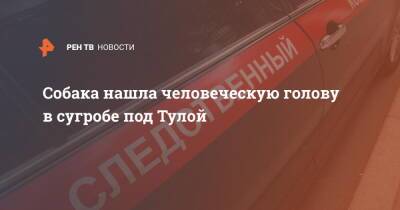 Собака нашла человеческую голову в сугробе под Тулой - ren.tv - Тула - Тульская обл.